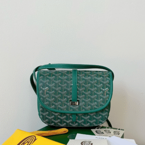 Goyard Super Green Handbag With Pattern 22x16x7cm