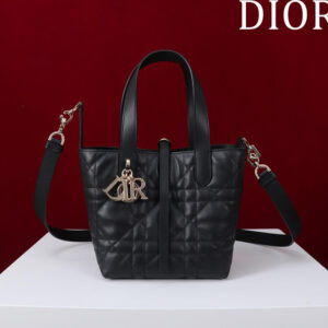 Small Dior Toujours Vertical Tote Bag