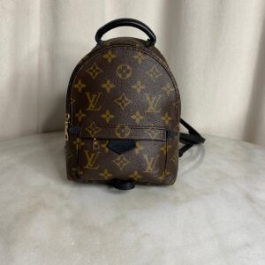 Louis Vuitton Palm Springs Mini backpack in monogram canvas